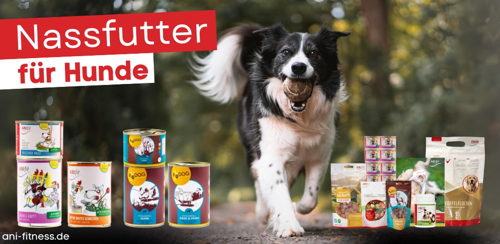 Anifit Hundefutter